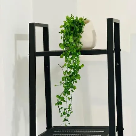 Cosy Centre Historique Apartman