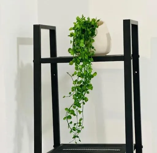 Cosy Centre Historique شقة